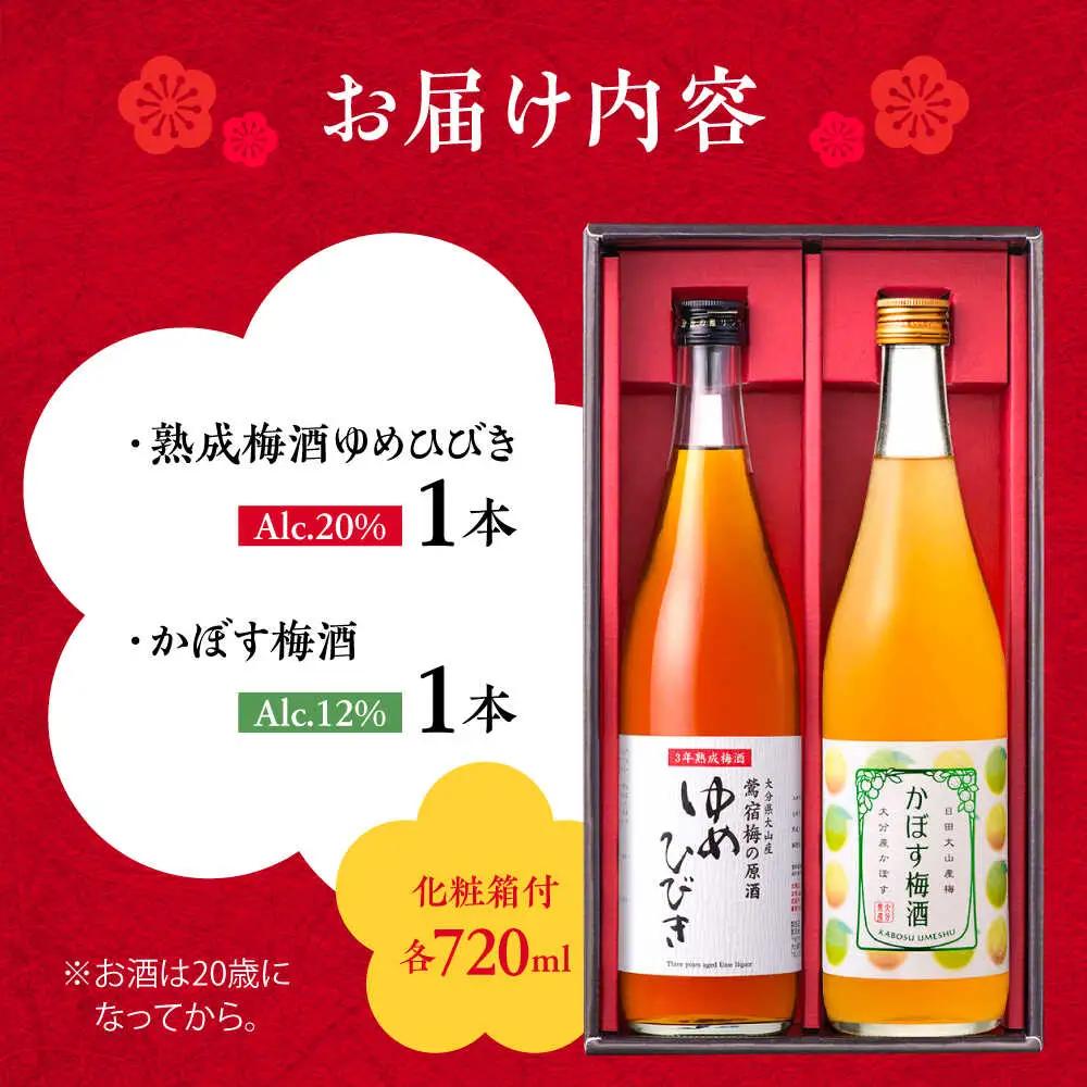 梅酒蔵おおやま 梅酒セット 各720ml / 酒 梅  / 日田市 / 株式会社おおやま夢工房[ARCW013]