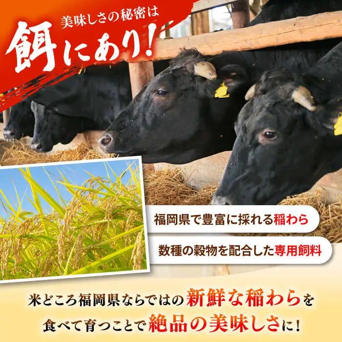 【全12回定期便】【訳あり】博多和牛 牛肉 しゃぶしゃぶ すき焼き用 700ｇ 桂川町/株式会社 MEAT PLUS [ADAQ053] 国産 牛肉 和牛 しゃぶしゃぶ すき焼き ロース もも うで 