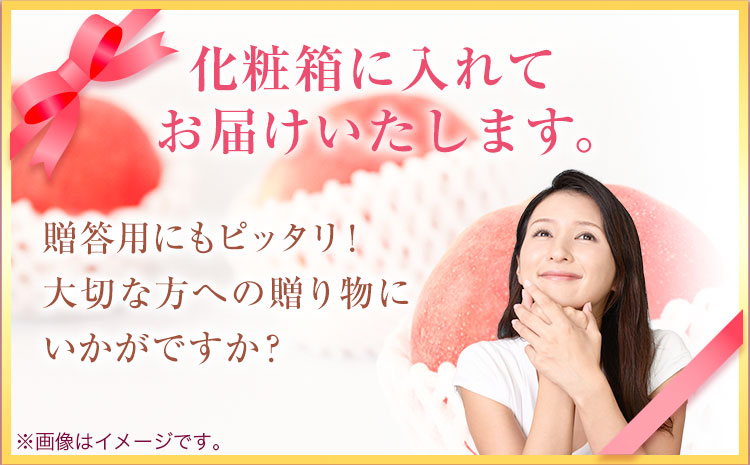 紀州和歌山産の桃3玉化粧箱入魚鶴商店《2026年6月下旬-8月上旬より発送予定》 モモ---wsh_cuot157_6g8j_25_9000_3t---｜ あかつき桃白鳳桃日川白鳳桃八旗白鳳桃桃清水白