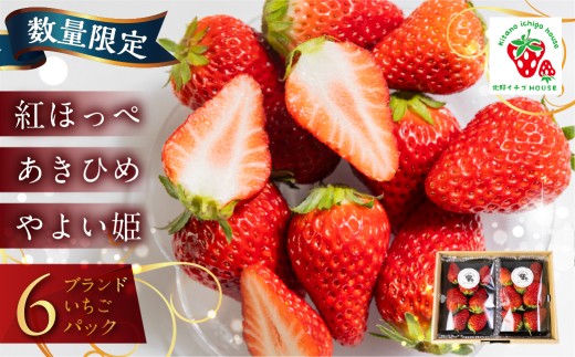 ≪数量限定≫ ブランドいちご 6パック 約 1600g  紅ほっぺ あきひめ やよい姫  北野イチゴHOUSE いちご イチゴ 苺 ブランド 甘い 美味しい おススメ 人気 6パック 旬 フルーツ 果物 贈答 ギフト 愛知県 豊橋市