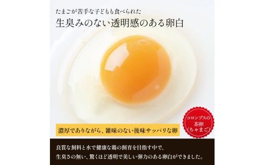 卵が苦手な子どもも食べられた！生臭くないおいしい卵 6個入×5P／Gbn-A03 
