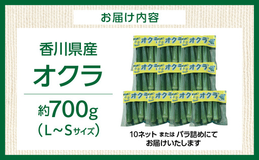 【先行予約】オクラ 約700g |オクラ 野菜 ネバネバ 旬の野菜 旬 季節の野菜 季節 贈答 贈り物 ギフト プレゼント おすそ分け グルメ お取り寄せ 人気 おすすめ 特産 特産品 生鮮食品 香川
