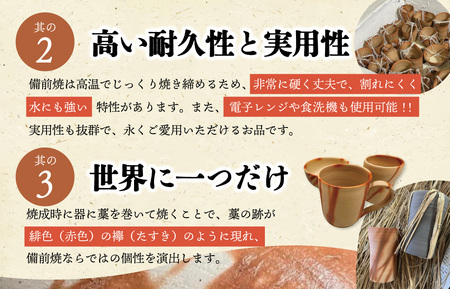 泡立ち ビアマグ 備前焼 ビール タンブラー　１個　GE1　【M1667】
