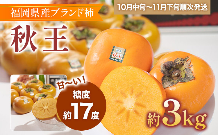 
                  福岡県産ブランド柿「秋王」 秋王・柿　約3kg(8-12玉)
                