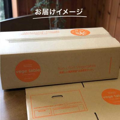 ふるさと納税 糸島市 旬を味わう 糸島 野菜 セット 10〜14種(計14パック) [AJB001] |  | 03