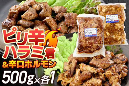 群馬県産 ピリ辛ハラミ君＆もち豚辛口ホルモンセット 約1.0kg（約500g×各1）豚肉 沼田市 特産品 肉の長門