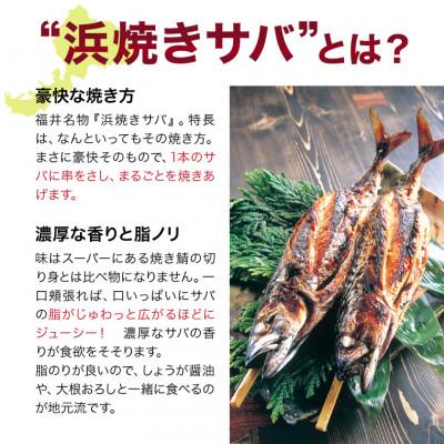 ふるさと納税 福井市 浜焼きサバ　丸ごと串刺し4本入 |  | 03