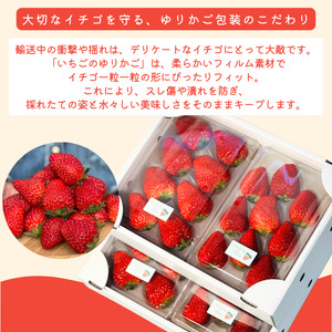 産地直送！完熟いちご 紅ほっぺ300g×4パック　【 いちご 果物 フルーツ 苺 イチゴ くだもの 完熟 静岡県産 期間限定】