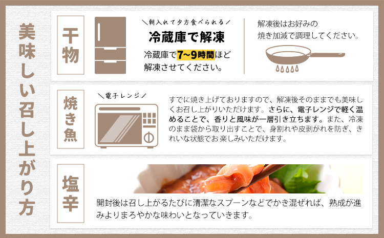 干物・焼魚・塩辛セット 4~6種10枚 株式会社鈴八フーズ 《90日以内に出荷予定(土日祝除く)》【配送不可地域：離島】塩辛100gさばの塩焼き さけの塩焼き 干物 アジ カレイ 金目鯛 イカ ホッケ