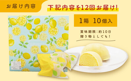 【全12回定期便】レモンケーキ 10個入【観光ビルはたなか】 [PAX024]