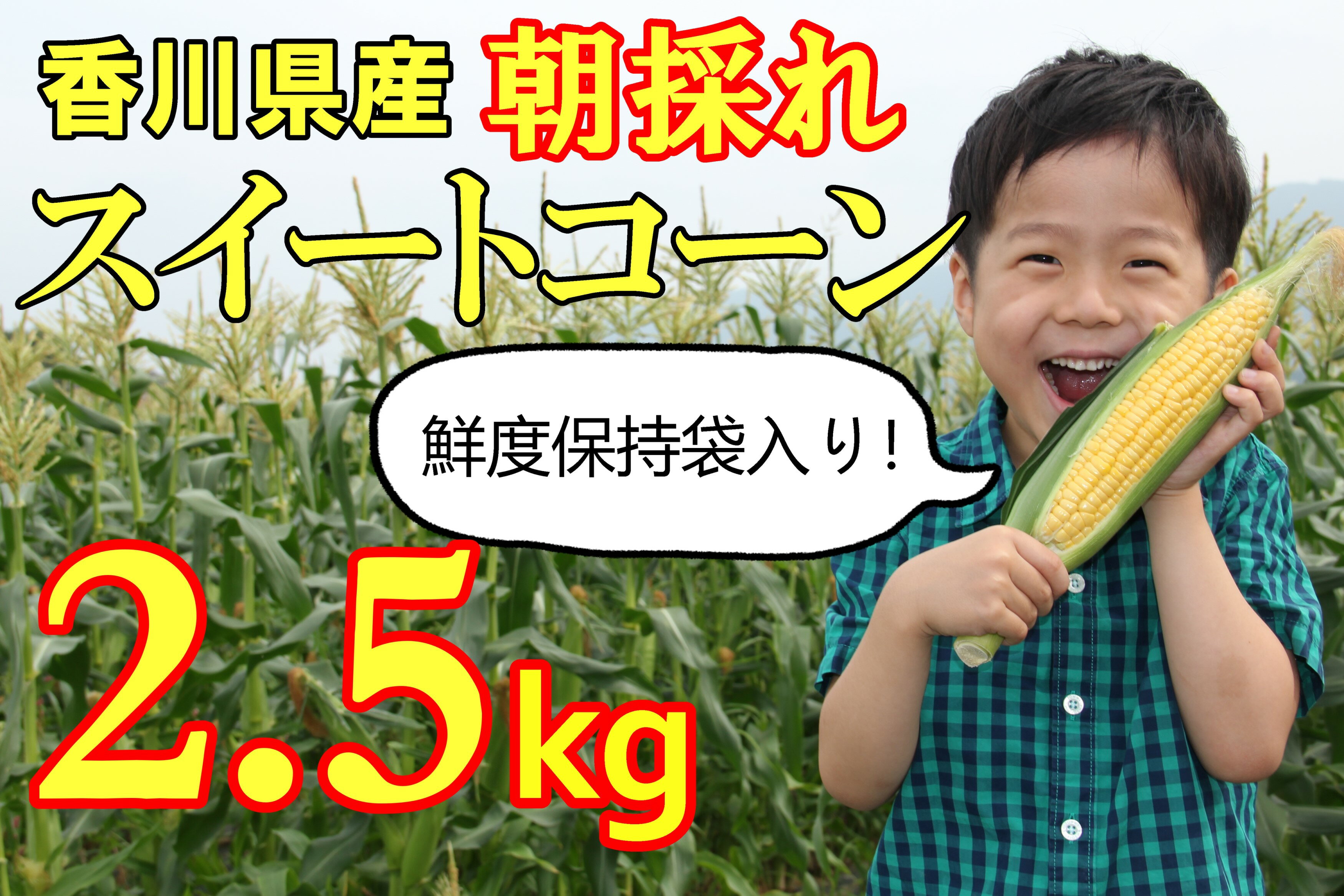【ふるさと納税】2025年産 善通寺市産スイートコーン2.5kg（鮮度保持袋入り）　【締切間近！】