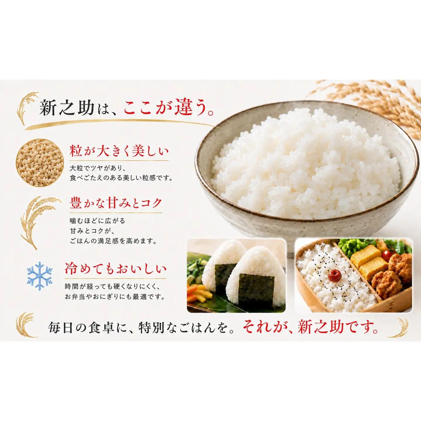 令和8年産 新潟県産 「鳥屋脇町生産組合 新之助」精米　10kg（5kg×2）（岩渕農場）