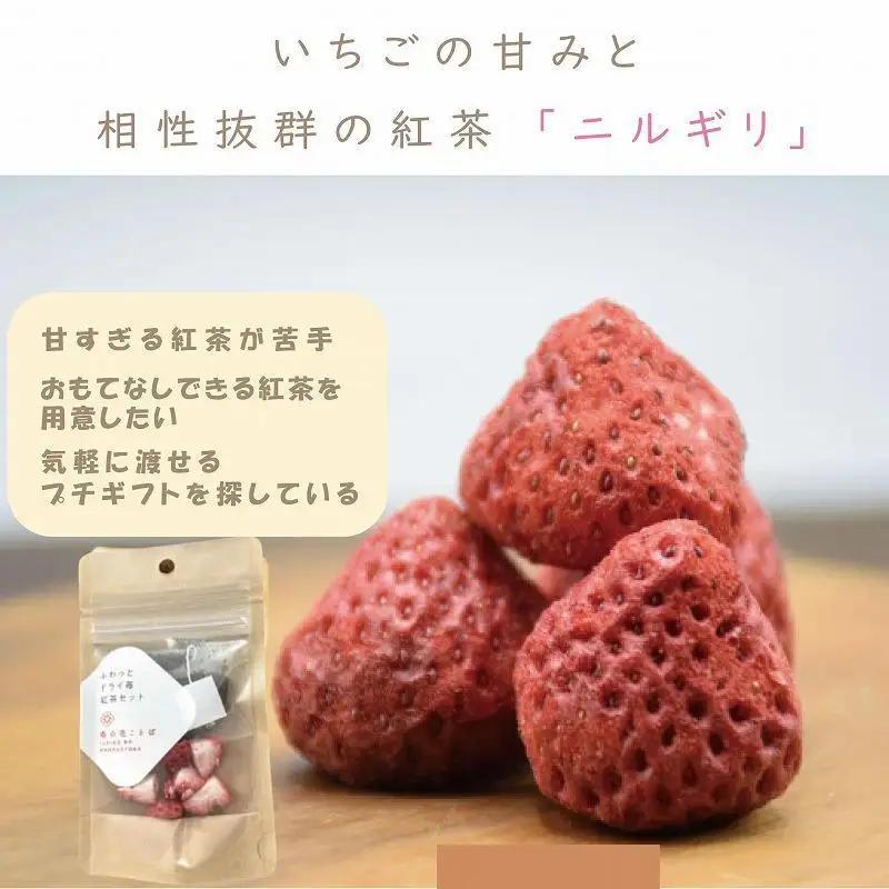 ふわっと越後姫 紅茶 ドライ苺紅茶 各10袋セット 紅茶