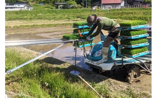 【白米】ゆめおばこ 秋田県産 岩城町農園のゆめおばこ 10kg（5kg×2袋）令和7年産 真空パック [ゆめおばこ 米 お米 こめ 白米 精米 食卓 ご飯 ごはん おにぎり 秋田県 由利本荘市]
