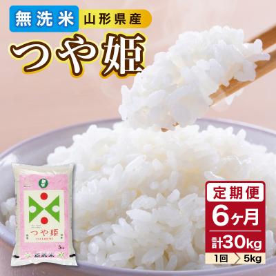 ふるさと納税 大江町 《6ヶ月定期便》山形県産 無洗米 令和7年産 つや姫 5kg×6ヶ月(計30kg) 036-T08