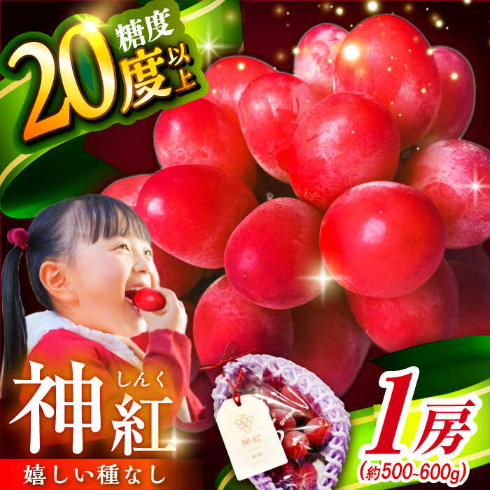 【ふるさと納税】【2026年先行予約】【8月初旬頃から順次発送】島根県オリジナル品種「神紅」1房 500g以上 産地直送 種なし葡萄 ぶどう ブドウ 葡萄 フルーツ 果物 くだもの 種なし 贈り物 お祝い 先行予約 島根県雲南市/池田ぶどう農園 [AIAA001]