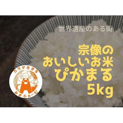 ふるさと納税 宗像市 【定期便/毎月お届け/全6回】むなかた産 米 ぴかまる5kg【みきふぁーむ】_HB0169