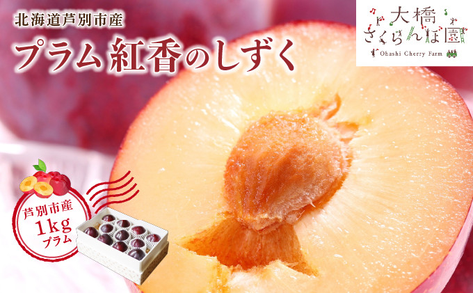 
                  【先行受付】 プラム 紅香のしずく 1kg 北海道 芦別市 大橋さくらんぼ園[№5342-0057]
                