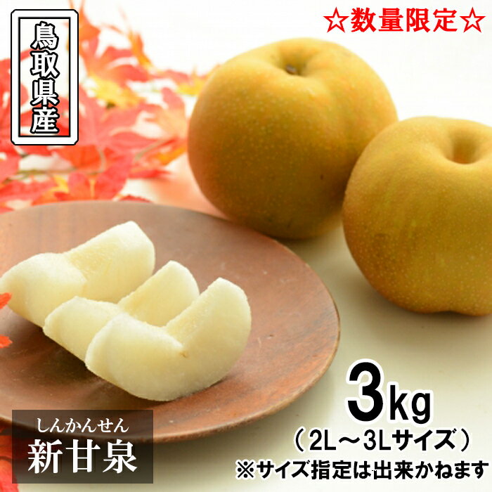 【ふるさと納税】鳥取県産 新甘泉梨　3kg　OK02