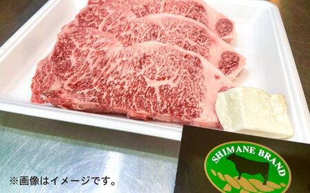 特選サーロインステーキ 200g×2 しまね和牛 島根県松江市/有限会社神戸屋 [ALGF002] 牛肉