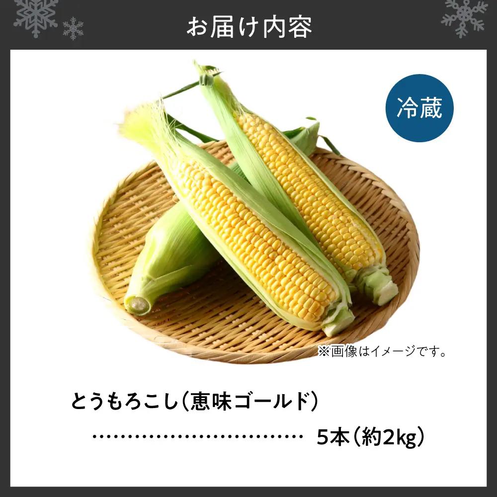 【先行受付】とうもろこし（恵味ゴールド） 5本（約2kg） | 野菜 トウモロコシ 北海道 札幌市