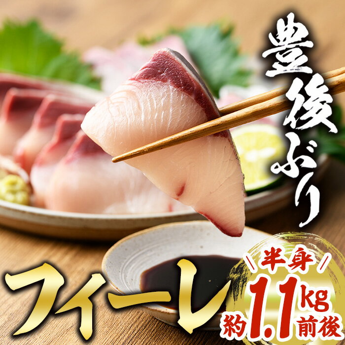 【ふるさと納税】豊後ぶりフィーレ (計約1.1kg) 鰤 真空パック 刺身 さしみ 刺し身 照り焼き ブリしゃぶ しゃぶしゃぶ 大分県 佐伯市【GD002】【東海シープロ】