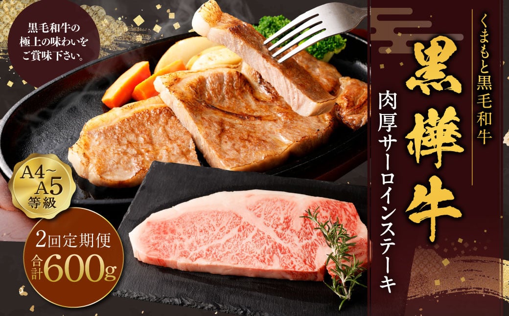 
【定期便】黒樺牛 【2回定期便】肉厚サーロインステーキ 約300g 合計約600g お肉 肉 牛肉 ブランド黒毛和牛 和牛 黒毛和牛 ブランド牛 サーロイン ステーキ ロースステーキ 冷凍 国産 九州産 冷凍
