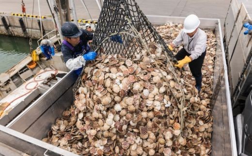 オホーツク海で水揚げされた新鮮な水産物。仕入れから加工・出荷までオホーツク紋別で行っています。