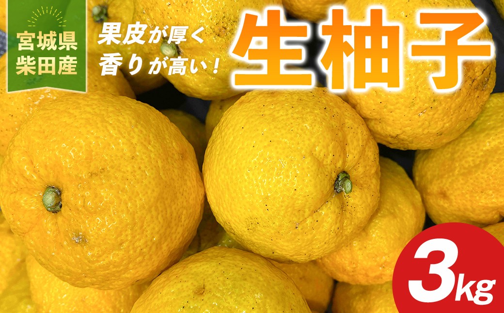 
                  ＜先行予約受付中！R8年11月下旬以降順次発送予定＞宮城県柴田産！「雨乞の柚子」生柚子 ＜3kg＞ ゆず 柚子 柑橘 フルーツ 果実 青果 【加藤農園（雨乞の柚子）】sh189
                