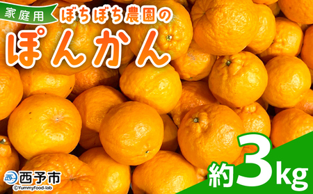 ＜ぼちぼち農園のぽんかん 家庭用 約3kg＞ 3キロ ぽんかん ポンカン 訳あり わけあり ワケアリ 果物 みかん ミカン 柑橘 フルーツ 生産量日本一 国産 特産品 ぼちぼち農園 愛媛県 西予市【常温】『2026年1月～2月迄に順次出荷予定』ABB0005