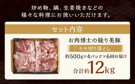 【全6回定期便】長崎県産「競り美豚」 モモ 切り落とし 2kg (500g×4) ／ 競美豚 競り美豚 肉 国産 豚肉 もも もも肉 肉のマルシン 長崎県 長崎市