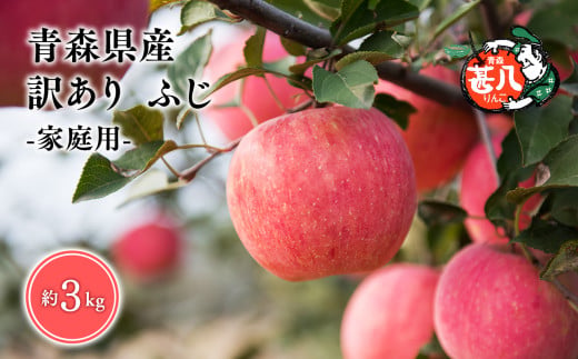 ５～７月発送　訳あり　家庭用　甚八りんご ふじ３kg　【マルジンサンアップル】