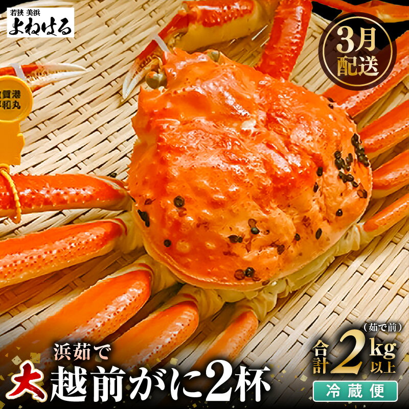 【ふるさと納税】【先行予約】≪浜茹で≫ 天然 越前がに 大サイズ (茹で前約1kg) × 2杯 冷蔵 届いてすぐお召し上がりいただけます！ タグ付 福井を代表する冬の味覚【2026年3月上旬以降順次発送予定】