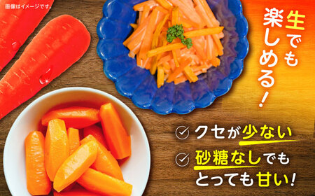 【甘みと栄養たっぷり！】 真っ赤な人参 「紅天神」 10kg / にんじん ニンジン 人参 やさい 野菜 / 諫早市 / 滝商店株式会社[AHCU002]