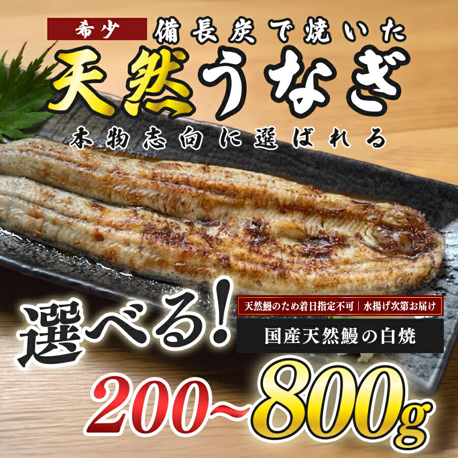 【ふるさと納税】希少 天然 鰻 白焼き 国産 四万十川 うなぎ ウナギ 白焼 ウナギ白焼 鰻白焼き うな重 備長炭 炭火 炭火焼き 冷凍 湯せん 小分け 贈答 お取り寄せ ギフトご褒美 簡単 土用の丑の日 高知県 大月町