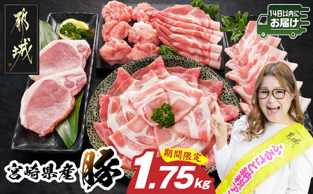 宮崎県産豚わくわく1.75kgセット(真空)≪みやこんじょ快速便≫(CP)_11-8401-s-R-CP_(都城市) 豚肉 豚肉セット 宮崎県産豚 しゃぶしゃぶ バラ 焼肉 切り落とし 肩ローススライス ロース とんかつ ミンチ 使い勝手抜群 小分け 真空