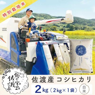 ふるさと納税 佐渡市 【新米予約】佐渡島産コシヒカリ 白米2kg 令和7年 特別栽培米 農家直送
