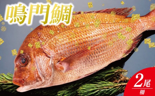 鳴門鯛 2kg 《 柵 2尾分 》 鯛 2尾 刺身 タイ 天然 鳴門 鯛 下処理 対応 塩焼き 鯛めし 祝い鯛 おせち 正月 しゃぶしゃぶ 鯛しゃぶ 鍋 年末年始 徳島 魚 市場