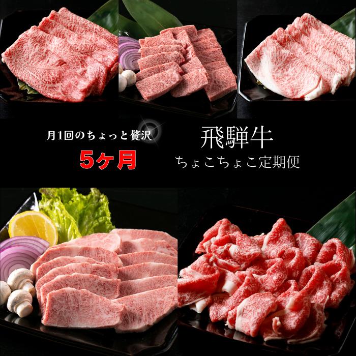【ふるさと納税】A5飛騨牛　定期便　5カ月ちょこちょこお届け（焼肉・すき焼き　など）☆
