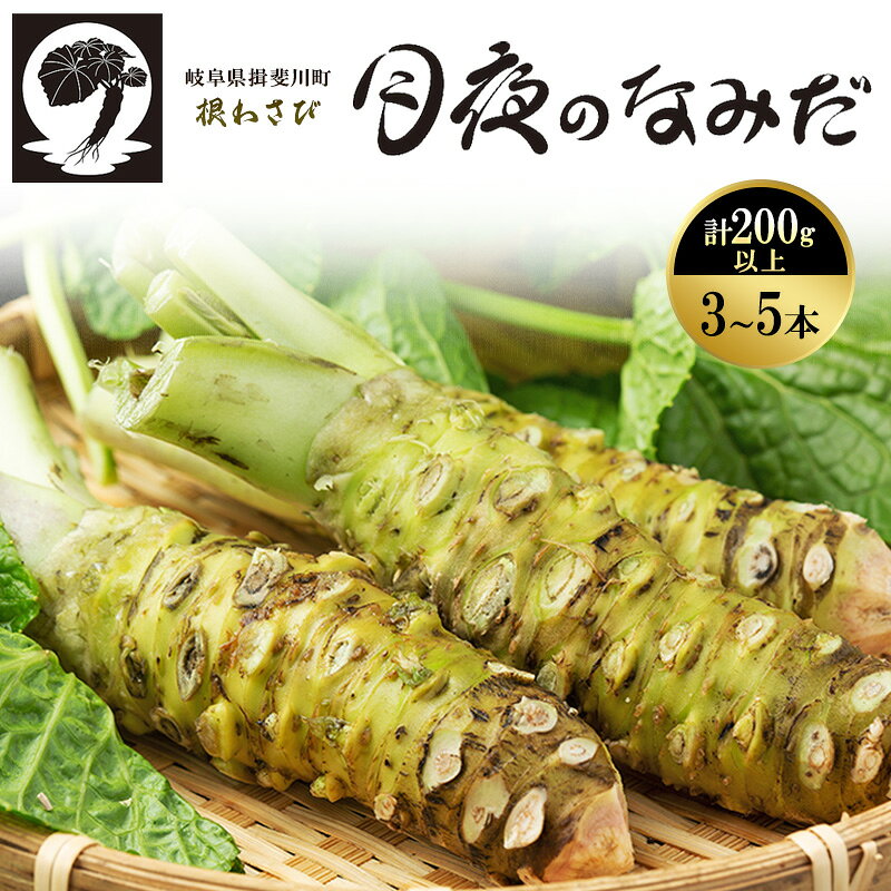 【ふるさと納税】本わさび 月夜のなみだ 3～5本 計200g以上 生わさび わさび 山葵 ワサビ 本ワサビ 生ワサビ 薬味 野菜 新鮮 生 芋 根わさび 本格 刺身 わさび丼 ステーキ 産地直送 産直 DoINAKA 送料無料 岐阜県 揖斐川町