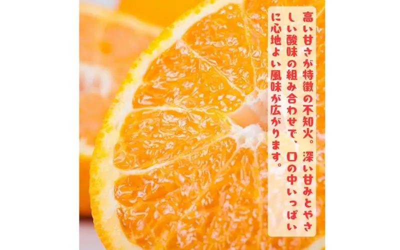 特選 濃厚 不知火 (通称デコポン)  約5kg+200g(傷み補償分) ※2027年1月下旬～3月下旬に順次発送【ard259】