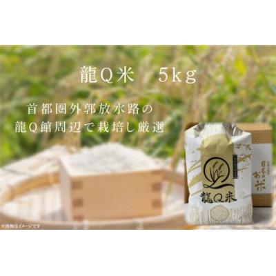 ふるさと納税 春日部市 令和6年産　龍Q米　精米【5kg】 |  | 02