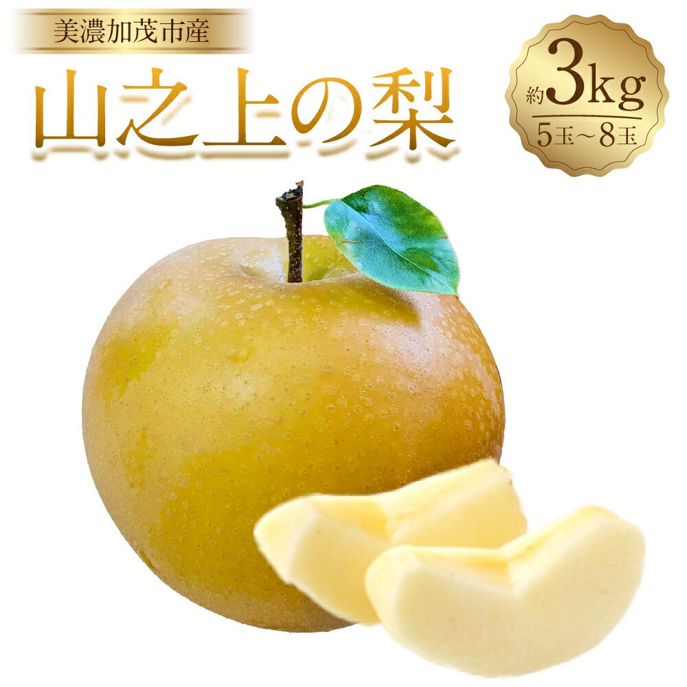 【ふるさと納税】【レビューキャンペーン対象商品】《先行予約》山之上の梨（品種はおまかせ） 約3kg（5～8玉） 愛甘水・幸水・豊水・あきづき なし ナシ くだもの 果物 果実 フルーツ 冷蔵 岐阜県産 国産 岐阜県 美濃加茂市 送料無料 【2025年8月上旬～10月上旬発送予定】