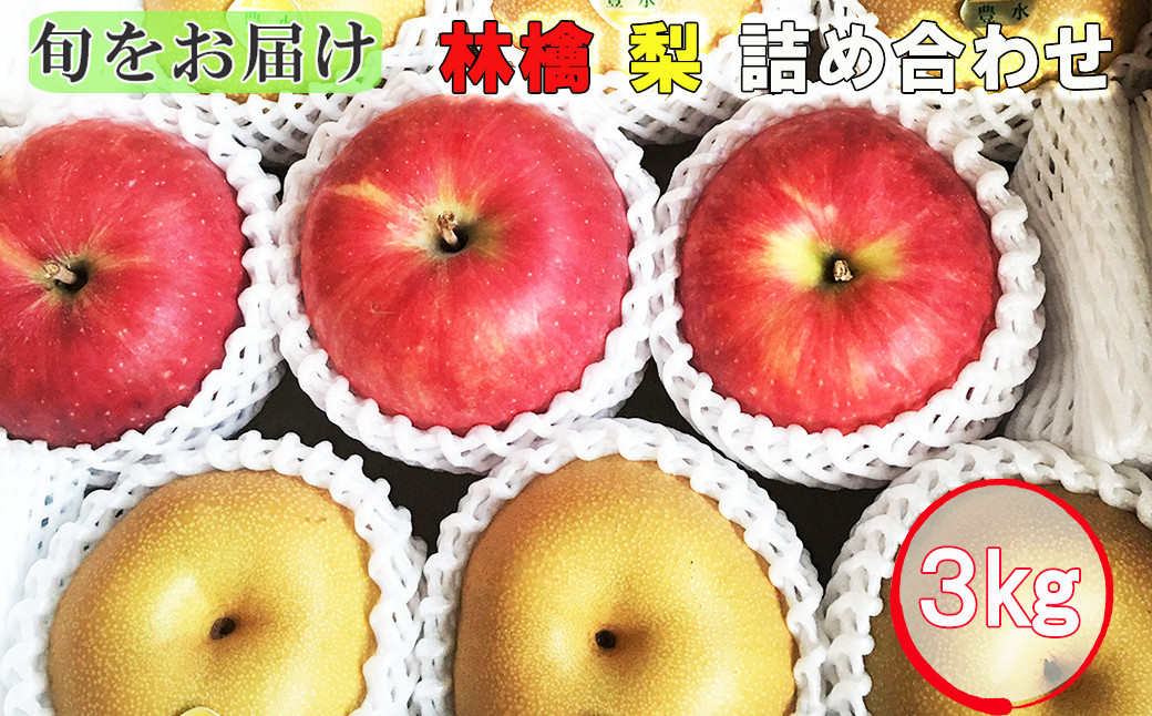 
《予約受付中》【旬をお届け】林檎・梨詰め合わせ！花巻産約３kg 【653】
