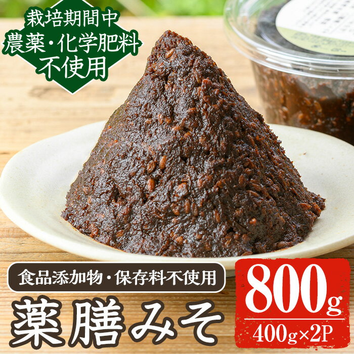 【ふるさと納税】《先行予約受付中！2026年5月以降順次発送》《数量限定》薬膳味噌(ハトムギ味噌)(計800g・400g×2パック) 味噌 麦味噌 自家栽培 ハトムギ 玄米麹 麦麹 麹 こうじ 玄米 大豆 黒大豆 みそ汁 化学肥料不使用 農薬不使用 有機 有機農業 有機肥料【雲月農園】