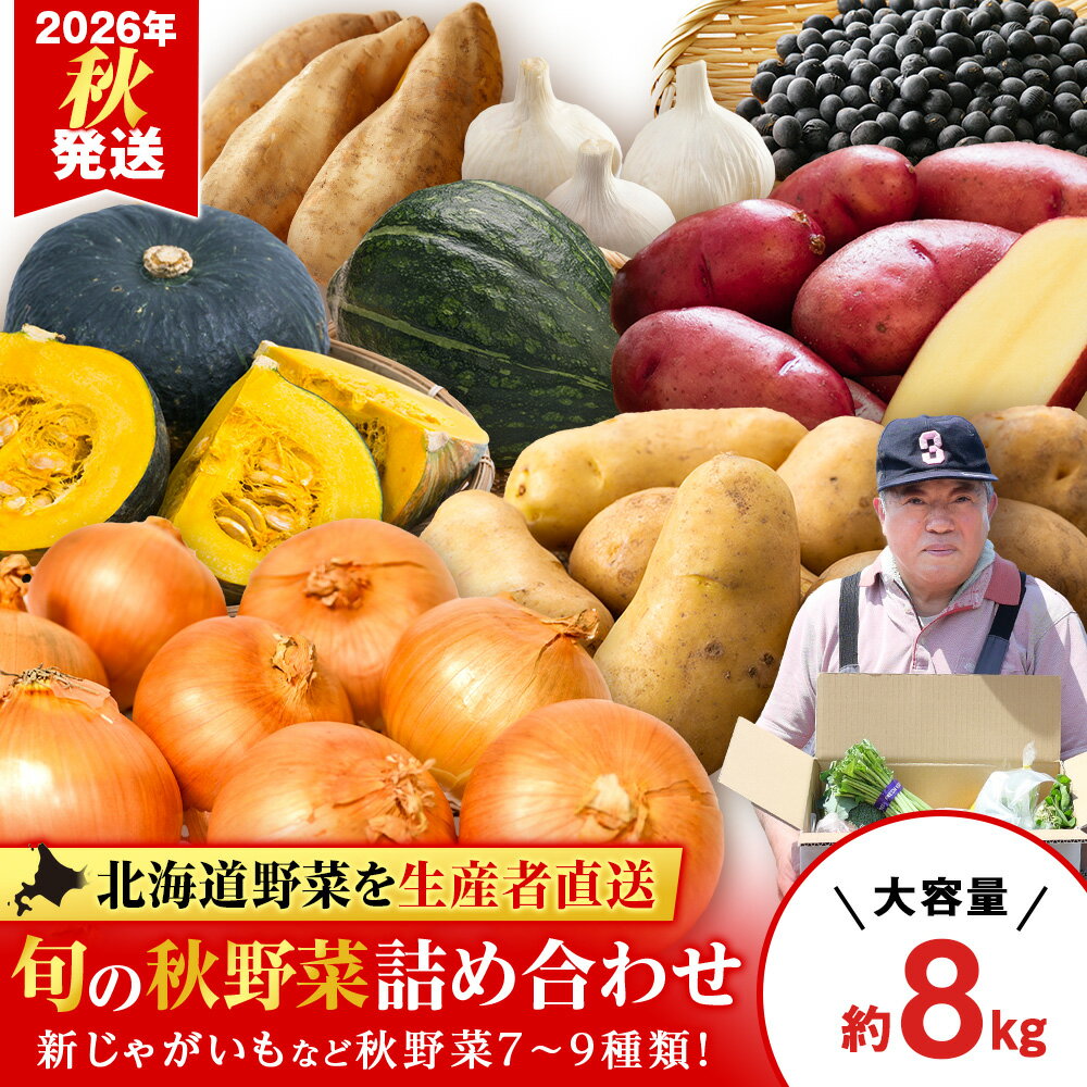 【ふるさと納税】2026年発送 旬の秋野菜詰め合わせ 約8kg《土居ファーム》 野菜 かぼちゃ じゃがいも たまねぎ 南瓜 玉ねぎ セット【北海道千歳市】ギフト ふるさと納税