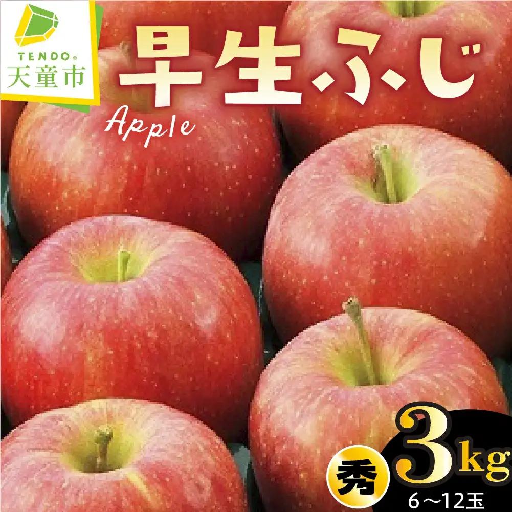 りんご ( 早生ふじ ) 3kg フルーツ 果物 山形