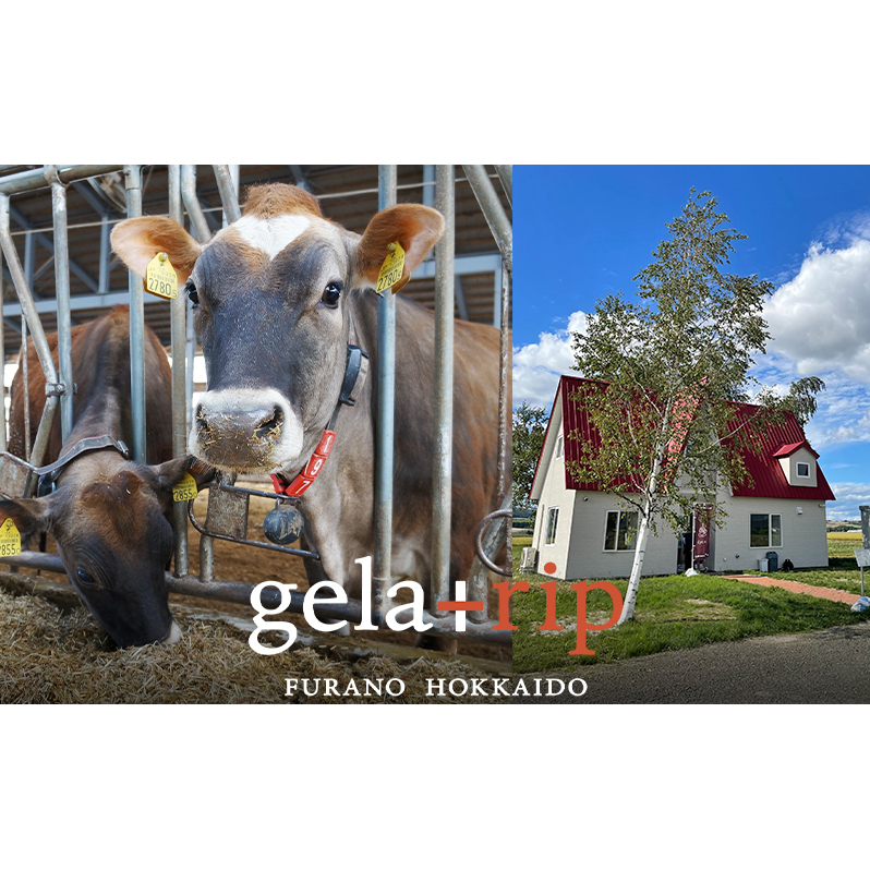 業務用 ジェラート ソルベ 2L フレッシュイチゴ 大容量 アイス デザート スイーツ ミルク 牛乳 北海道 上富良野町_イメージ5