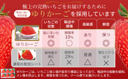 ［先行予約］【 いちご１２月から計４回定期便  】 ◆古都華　約３００g×２パック×４回 ◆ 【今朝摘みの丸笑いちご園】 ／ フルーツ いちご 苺 イチゴ  果物 くだもの 新鮮 完熟 朝採り 高級 