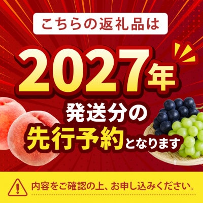 2027年発送先行受付【桃通が愛してやまない樹上完熟桃】リピーターNo.1ギリギリ限界まで完熟【配送不可地域：離島・北海道・沖縄県・中国・四国・九州】